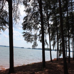 Avspänning