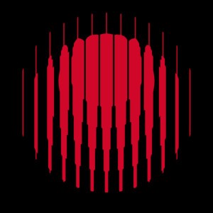 Year of No Light