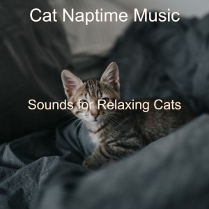 Cat Naptime Music