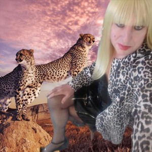 Christine Seale Tgirl