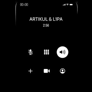 ARTIKUL