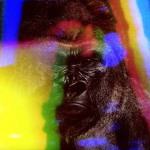 APE SILENT