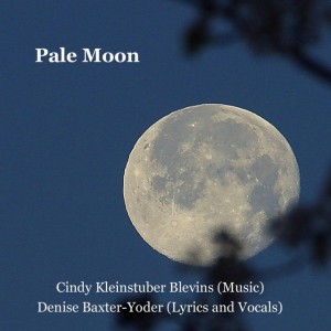 Cindy Kleinstuber Blevins & Denise Baxter-Yoder