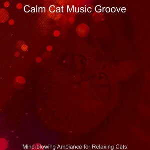 Calm Cat Music Groove