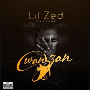 Lil Zed