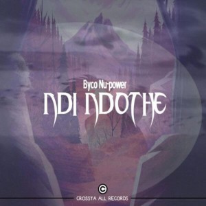 Byco Nu-power
