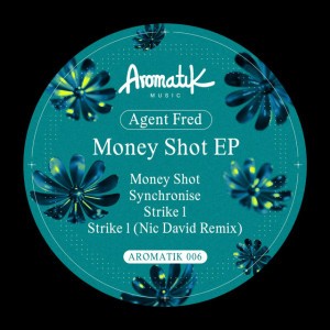 Agent Fred (Inc Nic David Remix)