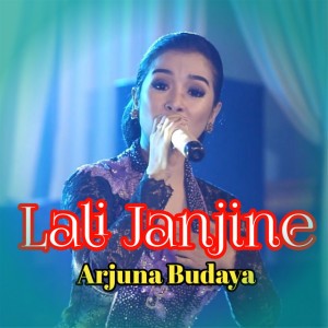 Arjuna Budaya
