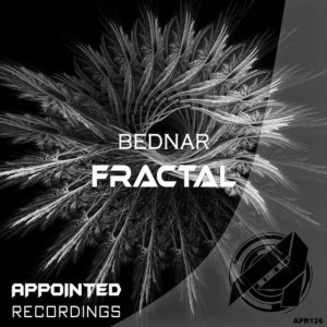 Bednar