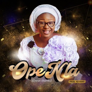 Bola Olowookere