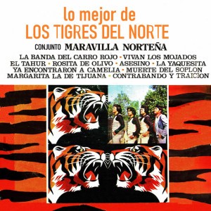 Conjunto maravilla norteña