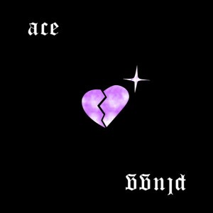aceplugg