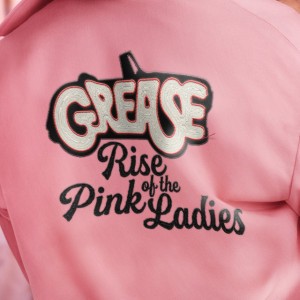 The Cast of Grease: Rise of the Pink Ladies