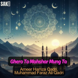 Ameer Hamza Qadri