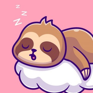 Chilled Sloth