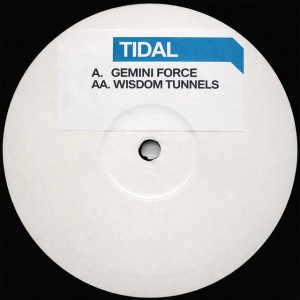Tidal