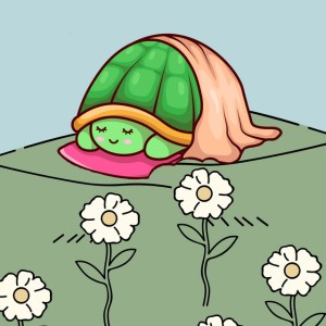 Sleeping Tortoise