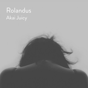 Akai Juicy
