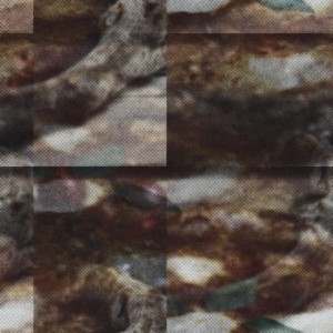 Arroyo Camera