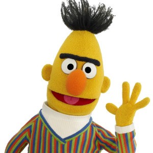 bert