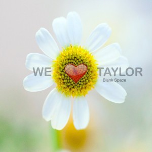 We Love Taylor Swift