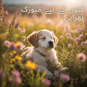 BS اینٹی اسٹریس میوزک تھراپی
