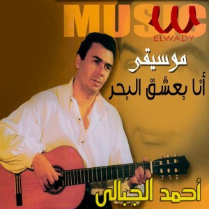 Ahmed El Gebaly