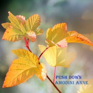 Amodini Anne