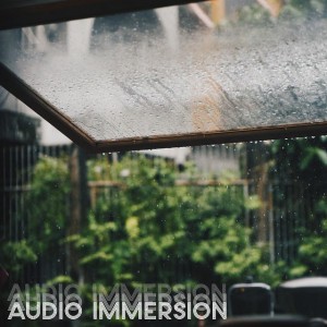 Audio Immersion