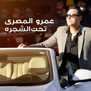 Amr El Masry