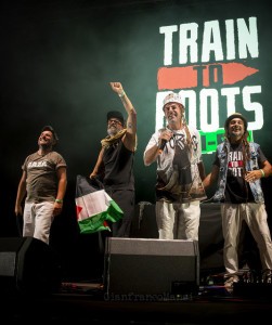 Train to Roots