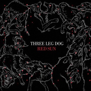 Three Leg Dog