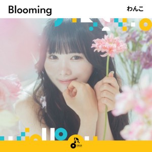 わんこ