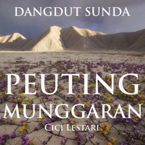 cici lestari
