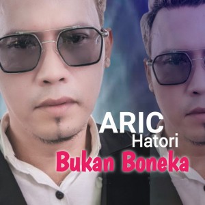 Aric Hatori