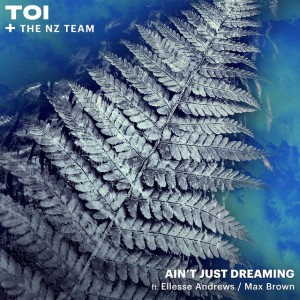The NZ Team