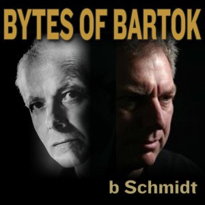 bernie schmidt