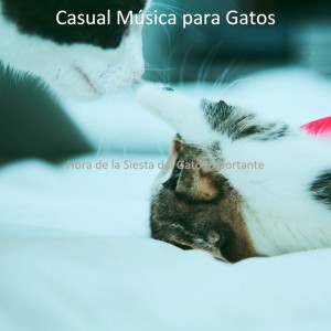 Casual Música para Gatos