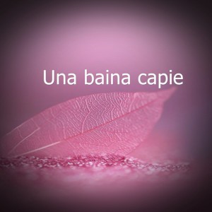 BaseDe Rap