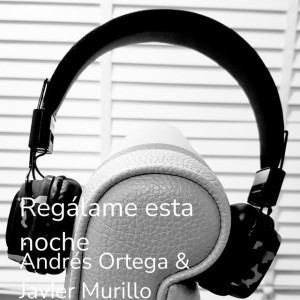 Andrés Ortega