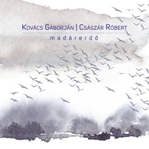 Császár Róbert