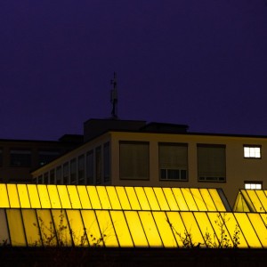 Breernewl