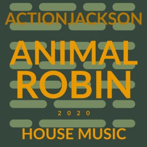Animal Robin