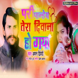 Aman Dwivedi