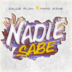 Calle Flow