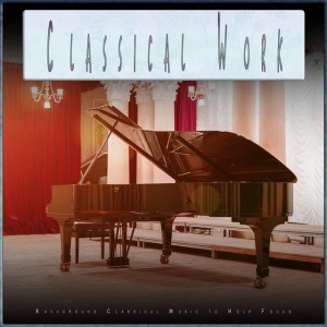 Classical Music Experience