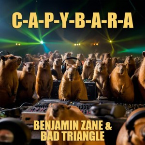 BadTriangle