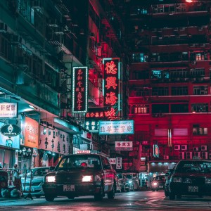 沙漠鱿鱼