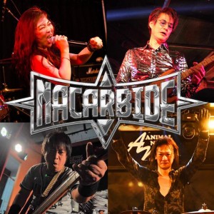 NACARBIDE