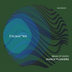 Brain Of South